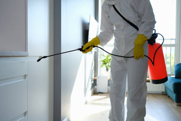 Best HVAC Mold Remediation in Beverly Hills, TX